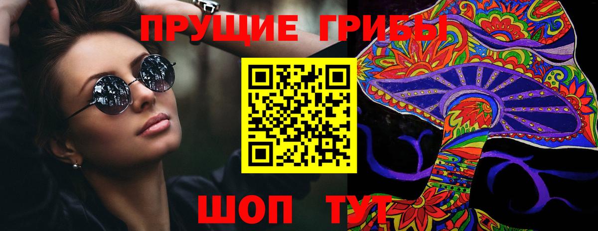 Артём  Псилоцибиновые грибы Psilocybine cubensis  Вход с VPN  Псилоцибиновые грибы Cubensis 